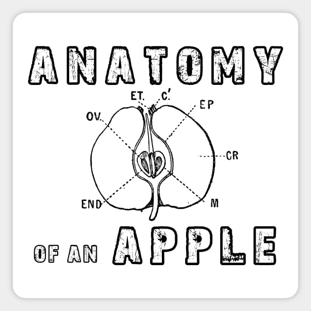 Anatomy Of An Apple Magnet by CentipedeWorks